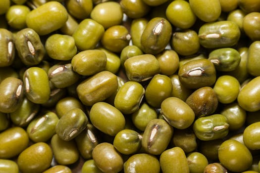 Jak zajistit dostatek bílkovin pro zdravý růst vašeho dítěte